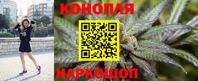 дмт Краснодар