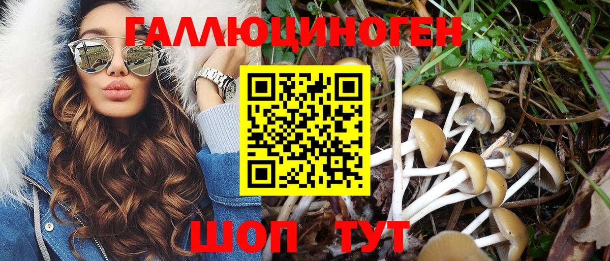 Галлюциногенные грибы MAGIC MUSHROOMS Кохма