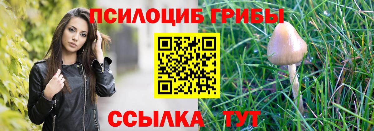 Псилоцибиновые грибы мухоморы  Вход с VPN  Кохма 